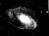 Die Galaxien